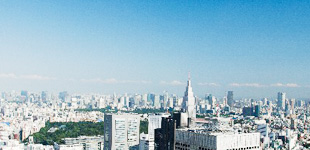 不動産・建築紛争